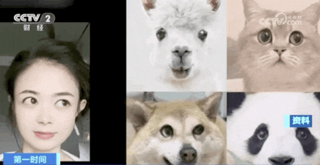 42.gif